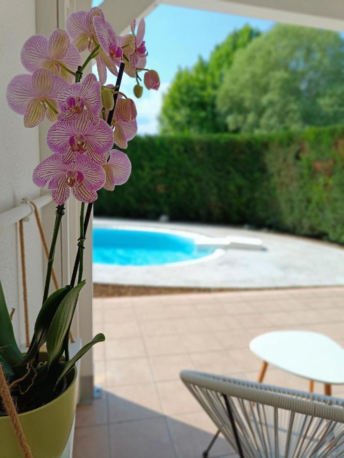 Picnic Room And Pool 卡斯特努沃德加尔达 外观 照片