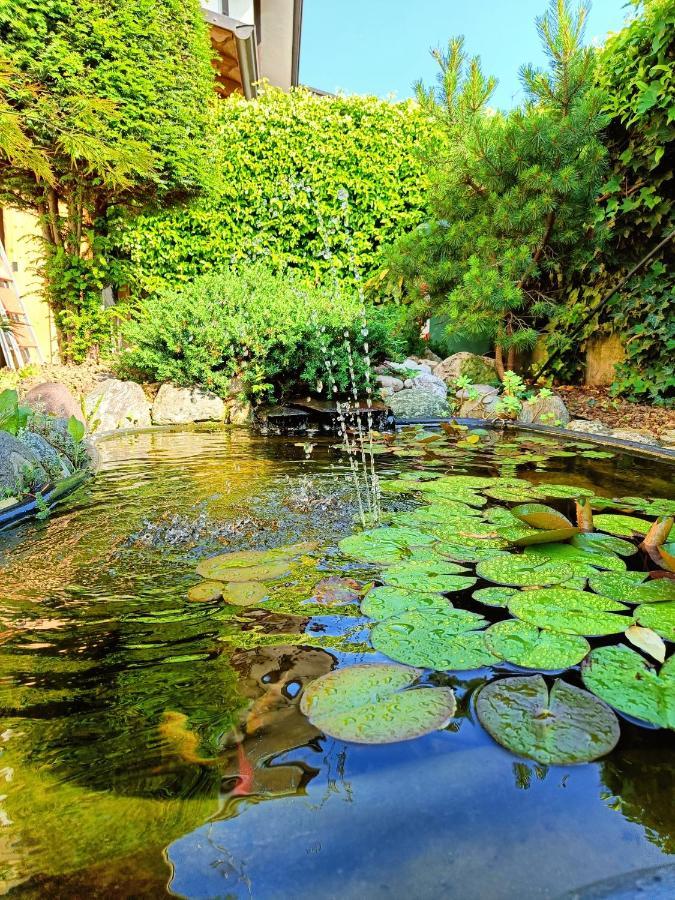 Picnic Room And Pool 卡斯特努沃德加尔达 外观 照片